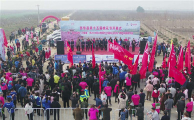 西華縣第十五屆桃花節盛大開幕 2500人馬拉松開跑點燃春日激情