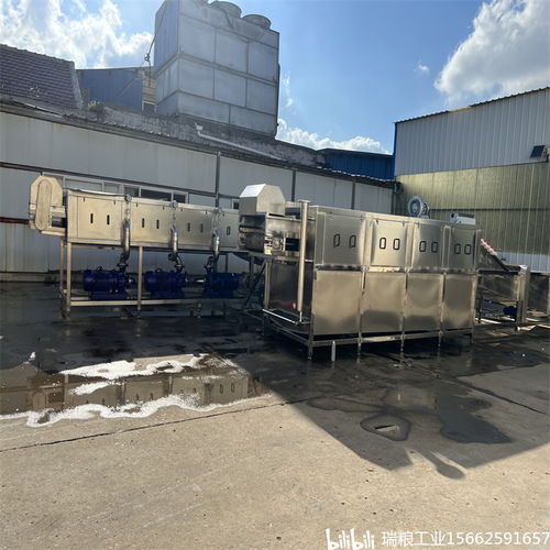 一站式解決大姜生產(chǎn)難題，選擇瑞糧食品工業(yè)裝備大姜清洗機(jī)